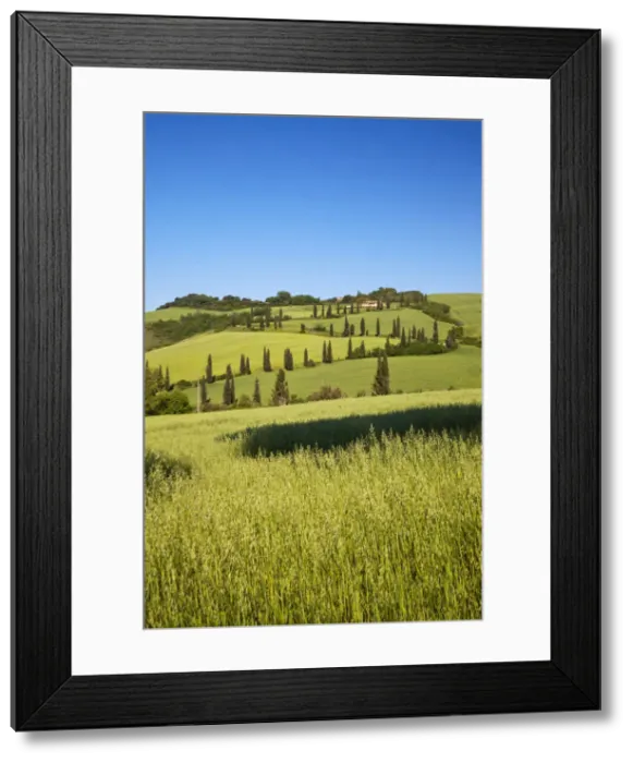 Framed Print : DDE-90032630 Framed Print : DDE-90032630