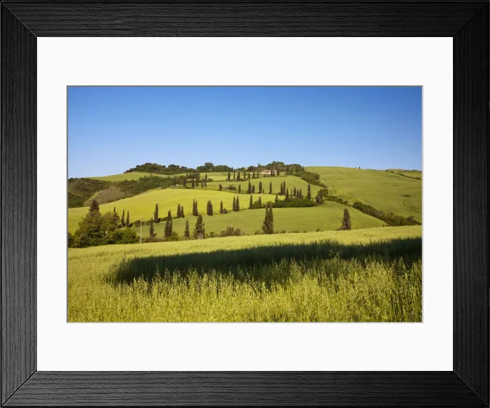 Framed Print : DDE-90032631 Framed Print : DDE-90032631