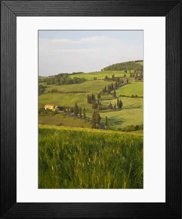 Framed Print : DDE-90032632 Framed Print : DDE-90032632