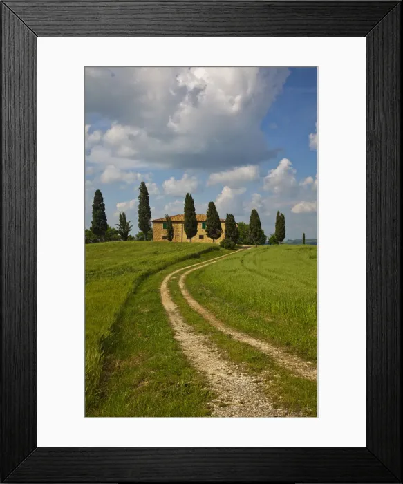Framed Print : DDE-90032633 Framed Print : DDE-90032633
