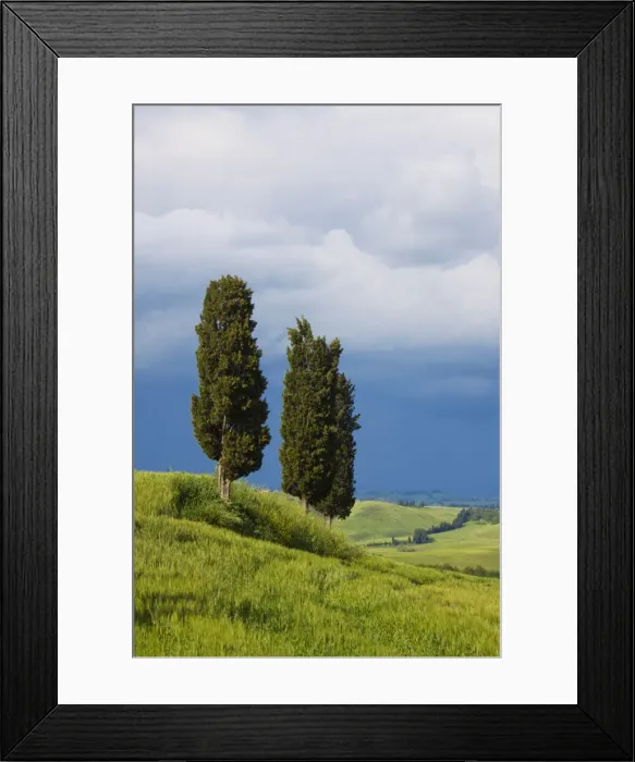 Framed Print : DDE-90032638 Framed Print : DDE-90032638