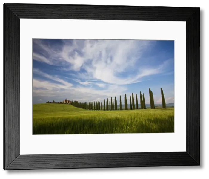 Framed Print : DDE-90032639 Framed Print : DDE-90032639
