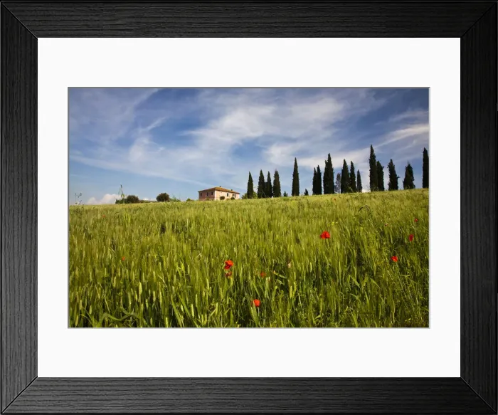 Framed Print : DDE-90032640 Framed Print : DDE-90032640