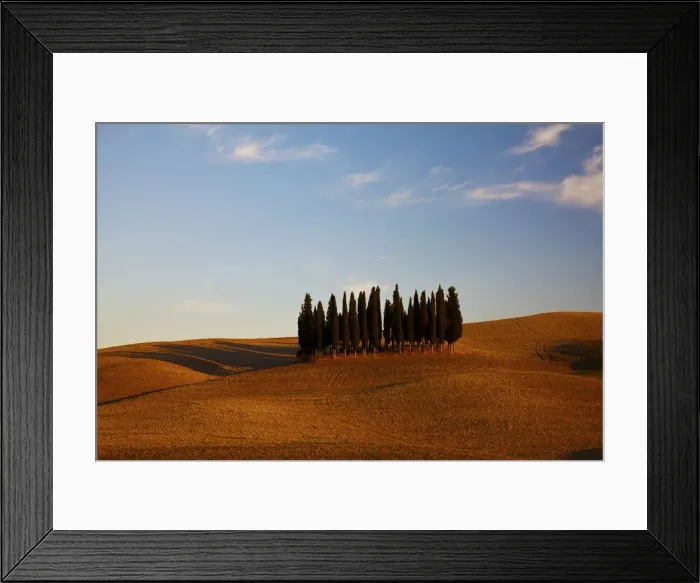 Framed Print : DDE-90032648 Framed Print : DDE-90032648