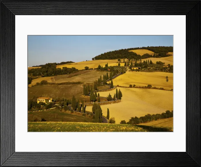 Framed Print : DDE-90032649 Framed Print : DDE-90032649
