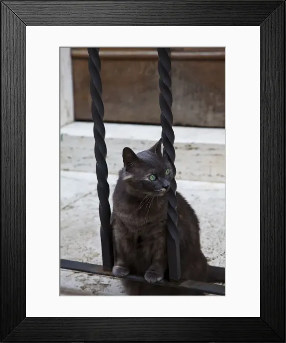 Framed Print : DDE-90032650