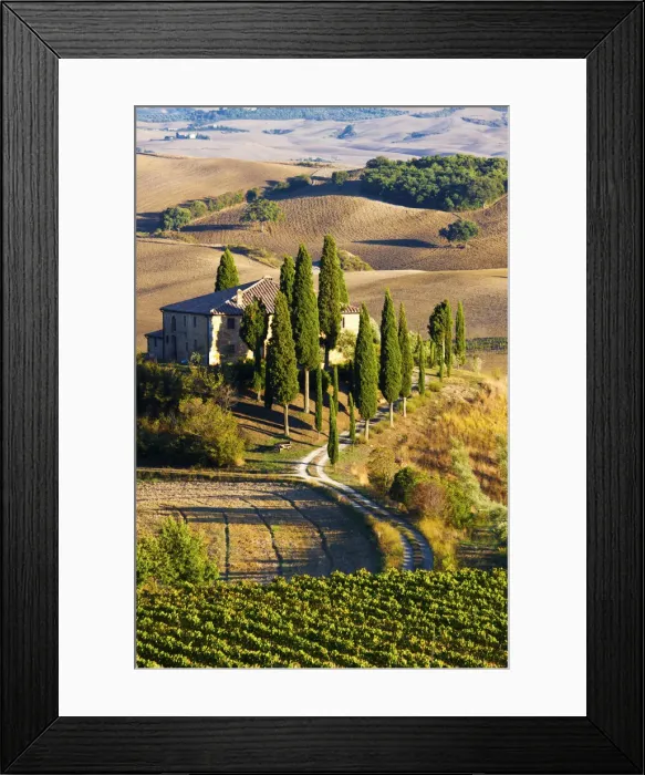 Framed Print : DDE-90032652