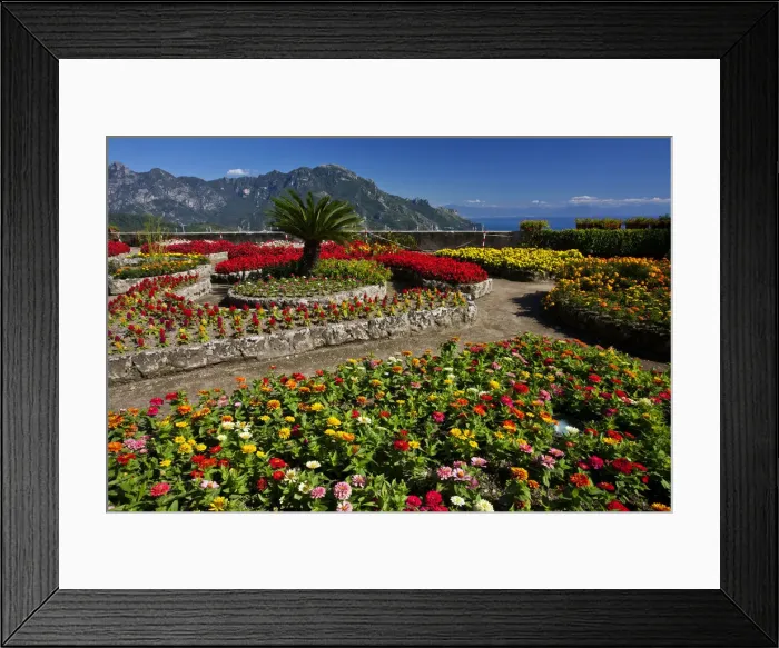Framed Print : DDE-90032653 Framed Print : DDE-90032653