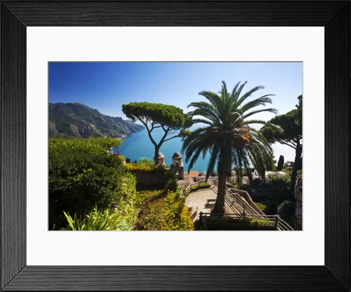 Framed Print : DDE-90032654