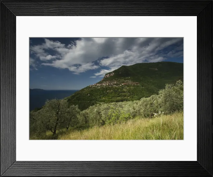 Framed Print : DDE-90032679 Framed Print : DDE-90032679