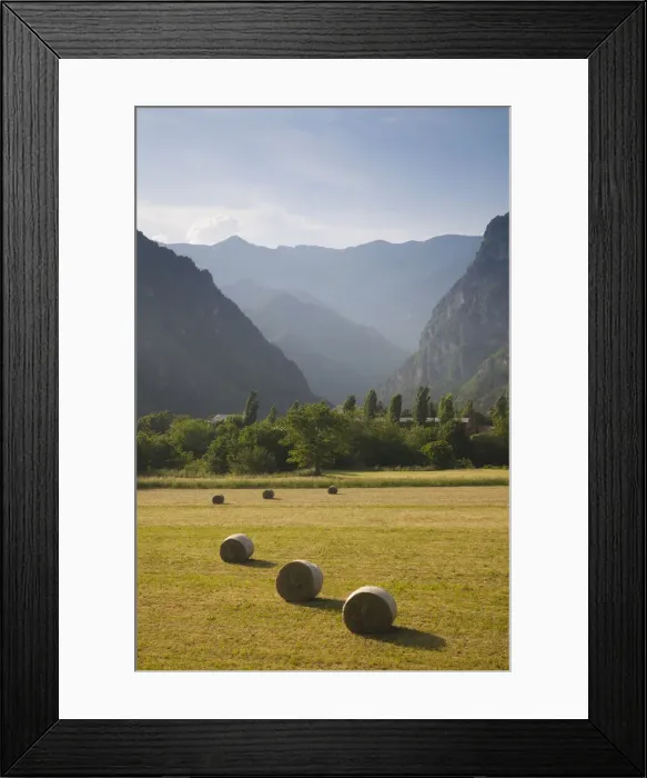 Framed Print : DDE-90032683 Framed Print : DDE-90032683