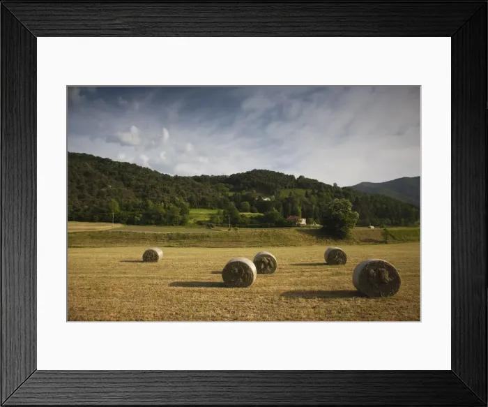 Framed Print : DDE-90032685 Framed Print : DDE-90032685