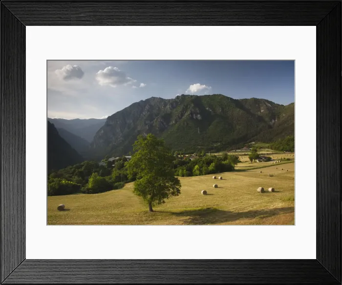 Framed Print : DDE-90032684 Framed Print : DDE-90032684