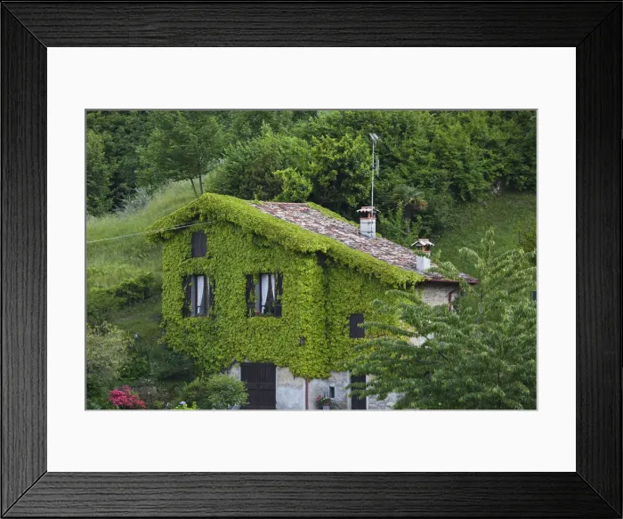 Framed Print : DDE-90032688 Framed Print : DDE-90032688