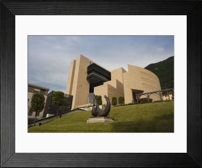 Framed Print : DDE-90032693 Framed Print : DDE-90032693
