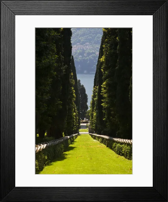 Framed Print : DDE-90032694 Framed Print : DDE-90032694