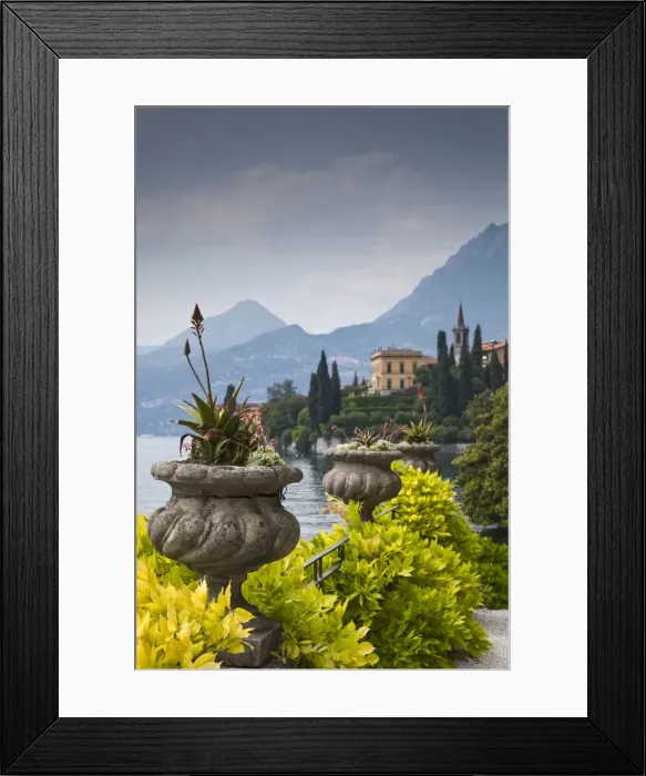 Framed Print : DDE-90032716 Framed Print : DDE-90032716