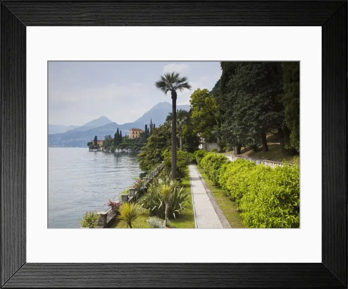 Framed Print : DDE-90032717 Framed Print : DDE-90032717