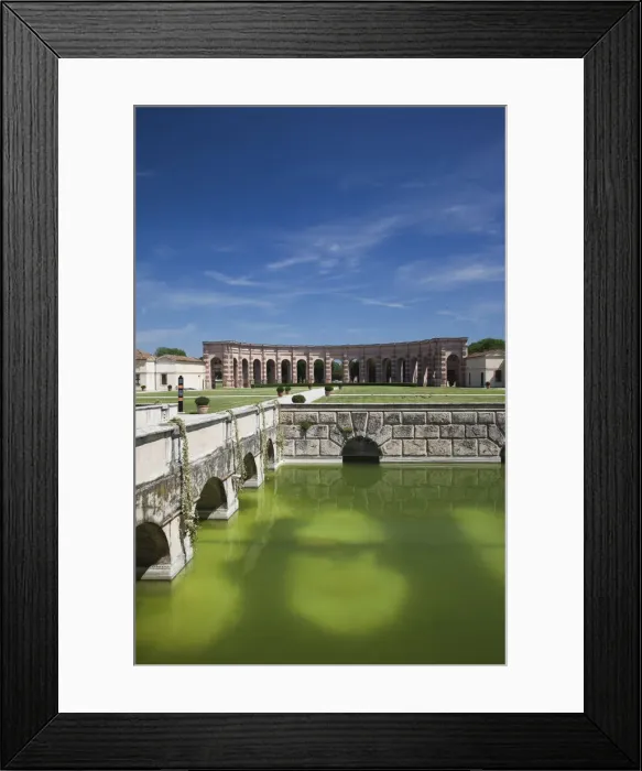 Framed Print : DDE-90032718
