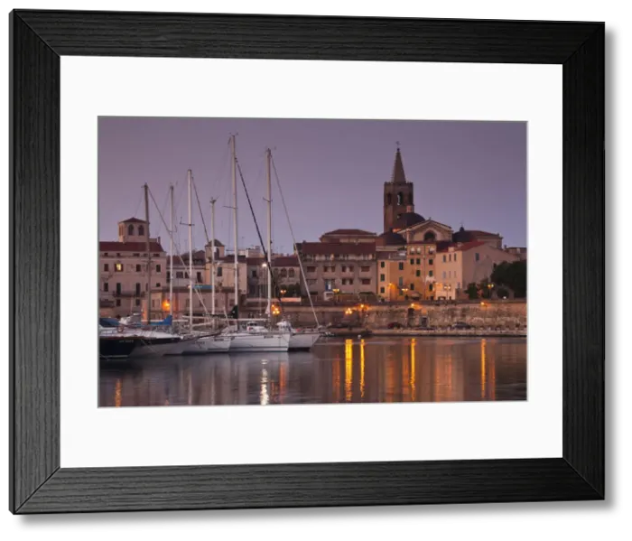 Framed Print : DDE-90032737