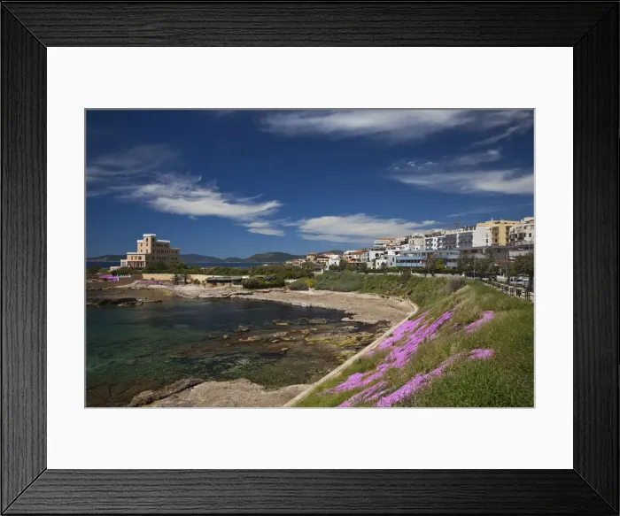 Framed Print : DDE-90032738 Framed Print : DDE-90032738