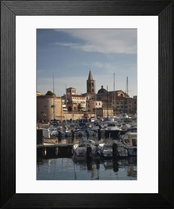 Framed Print : DDE-90032735 Framed Print : DDE-90032735