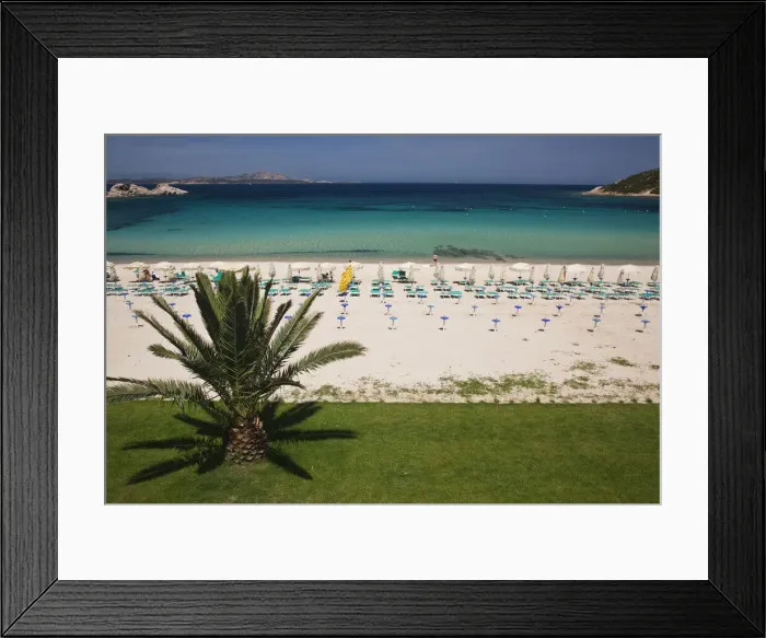 Framed Print : DDE-90032747 Framed Print : DDE-90032747