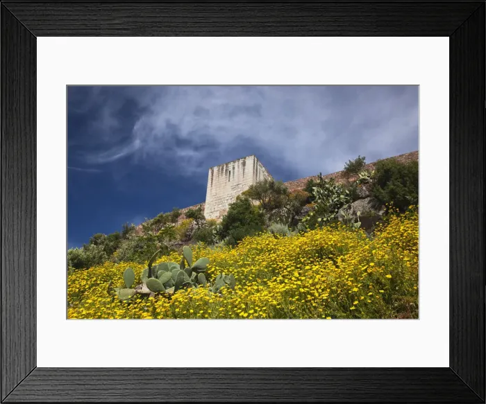 Framed Print : DDE-90032751 Framed Print : DDE-90032751