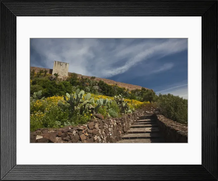Framed Print : DDE-90032752 Framed Print : DDE-90032752