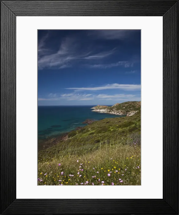 Framed Print : DDE-90032755 Framed Print : DDE-90032755
