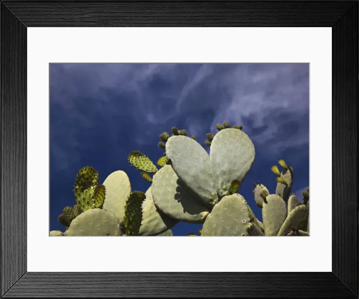 Framed Print : DDE-90032753 Framed Print : DDE-90032753
