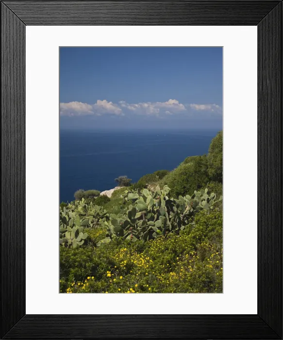 Framed Print : DDE-90032765 Framed Print : DDE-90032765