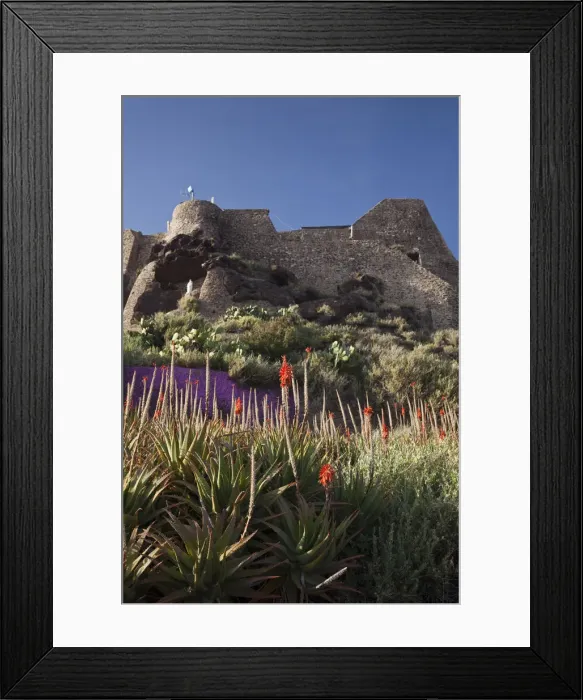 Framed Print : DDE-90032767
