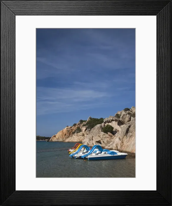 Framed Print : DDE-90032780 Framed Print : DDE-90032780