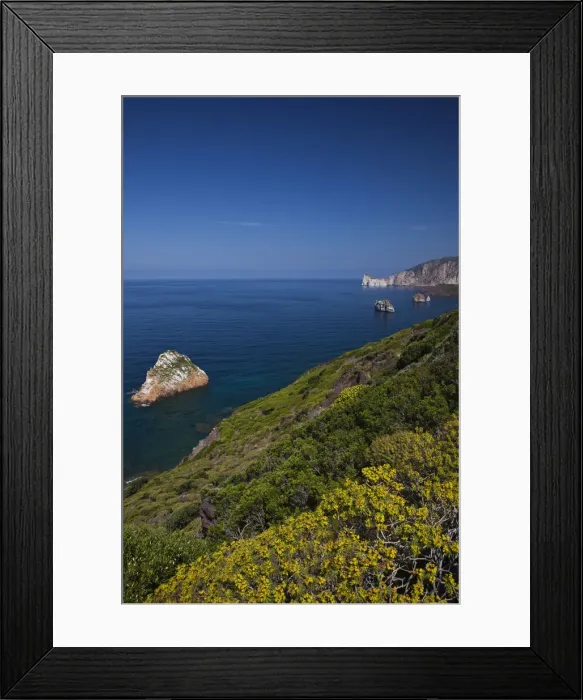 Framed Print : DDE-90032783 Framed Print : DDE-90032783