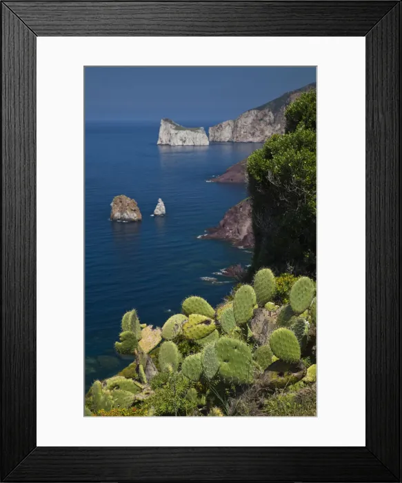 Framed Print : DDE-90032784 Framed Print : DDE-90032784