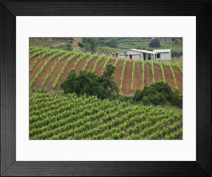Framed Print : DDE-90032778 Framed Print : DDE-90032778
