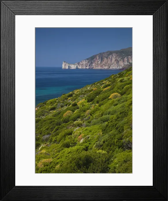 Framed Print : DDE-90032785 Framed Print : DDE-90032785