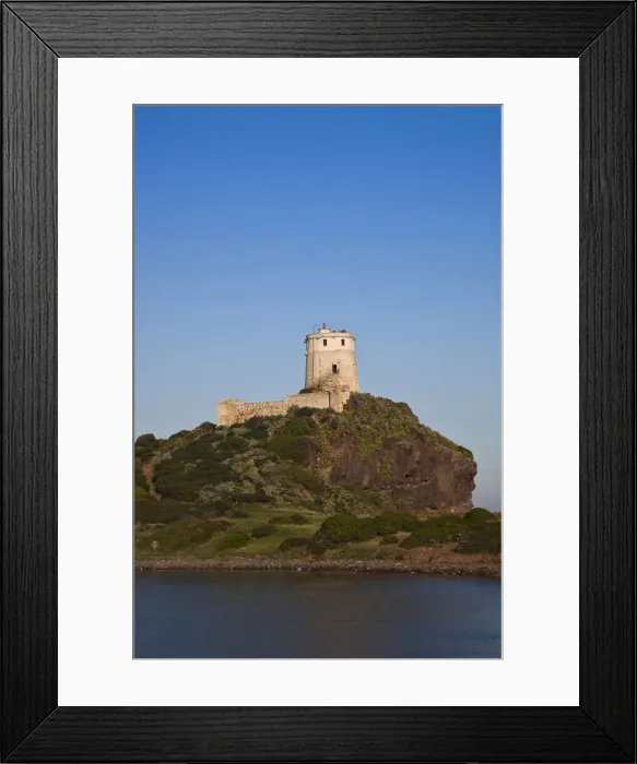 Framed Print : DDE-90032786