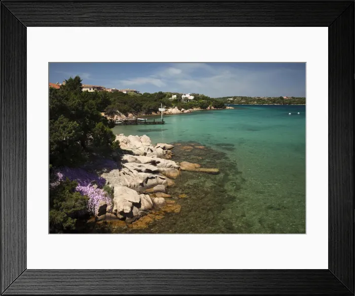Framed Print : DDE-90032788 Framed Print : DDE-90032788