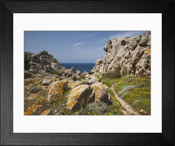 Framed Print : DDE-90032792 Framed Print : DDE-90032792