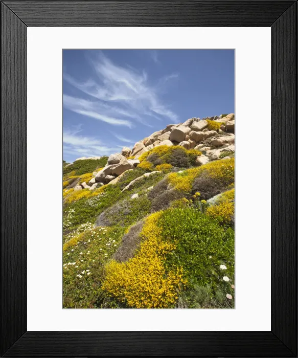 Framed Print : DDE-90032794 Framed Print : DDE-90032794