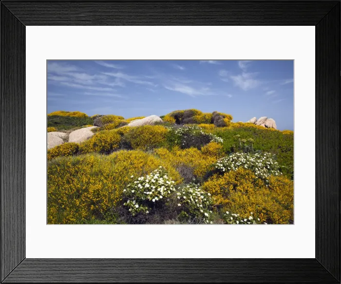 Framed Print : DDE-90032793 Framed Print : DDE-90032793