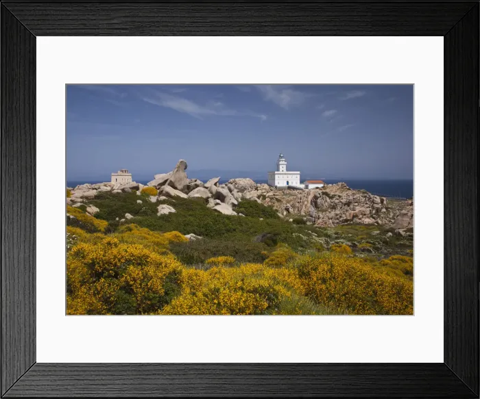 Framed Print : DDE-90032795 Framed Print : DDE-90032795