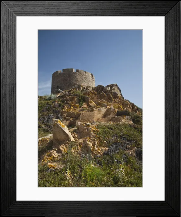 Framed Print : DDE-90032797