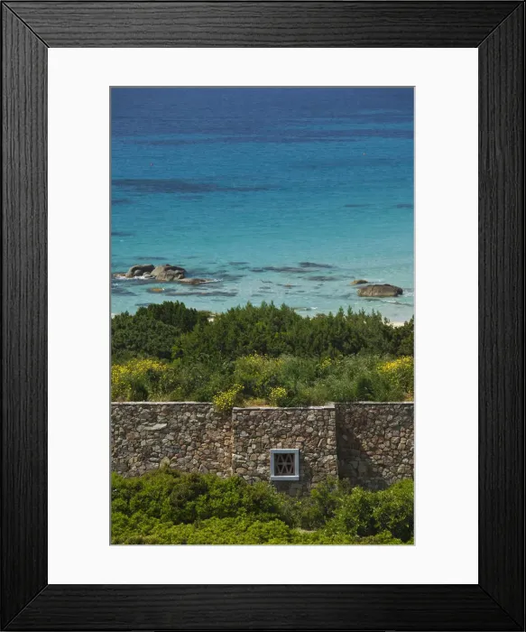 Framed Print : DDE-90032801