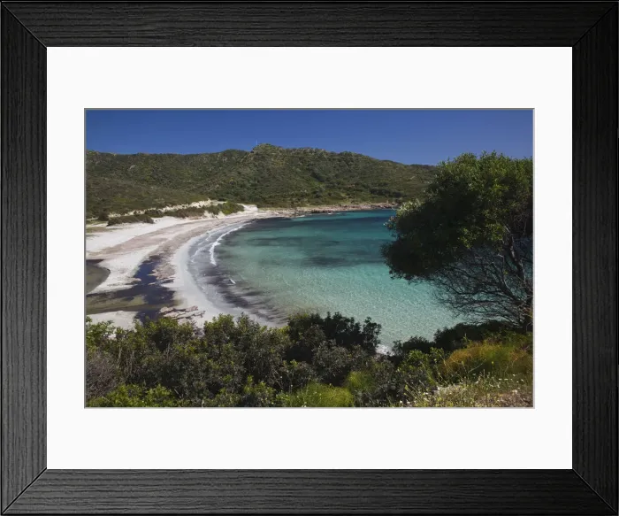 Framed Print : DDE-90032806 Framed Print : DDE-90032806