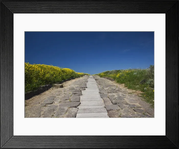 Framed Print : DDE-90032809 Framed Print : DDE-90032809