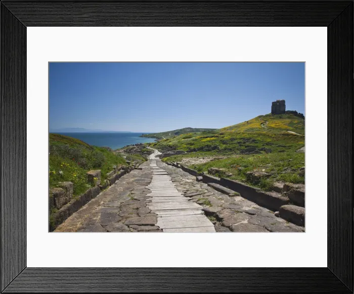 Framed Print : DDE-90032808 Framed Print : DDE-90032808