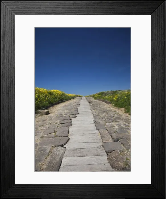 Framed Print : DDE-90032810 Framed Print : DDE-90032810